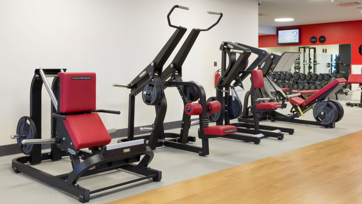 Sg fitness online equipment